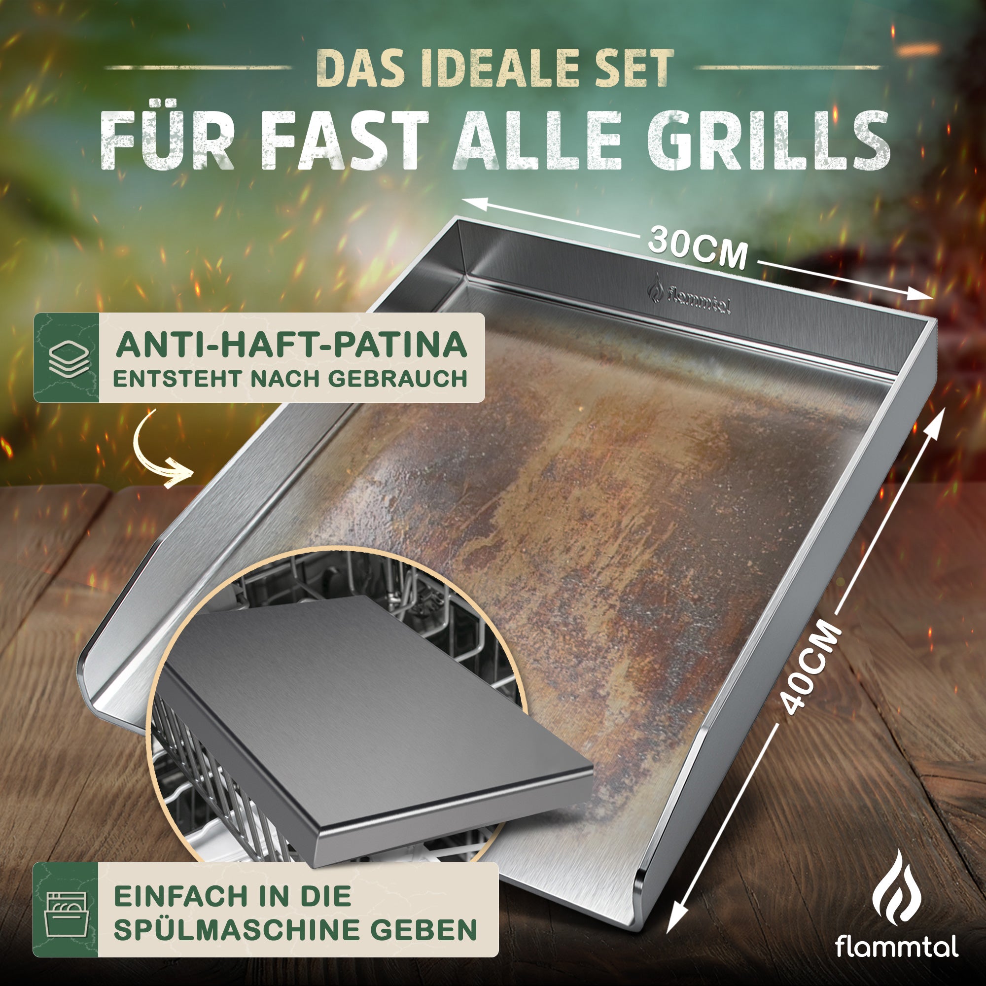 Grillplatte PLANCHA CORE